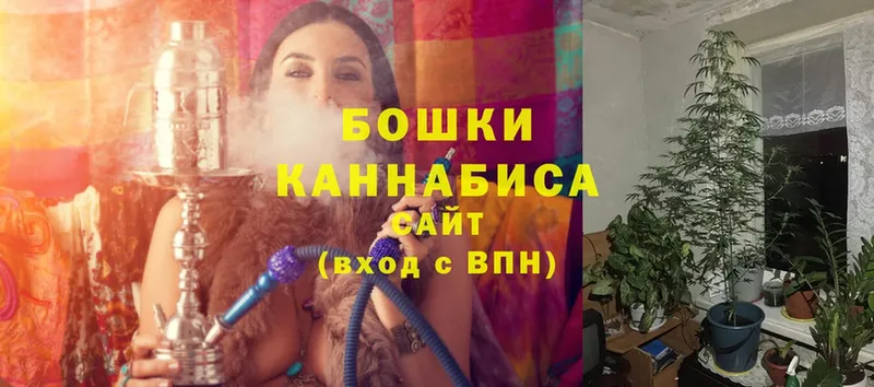 дарк нет как зайти  купить   Курлово  Шишки марихуана SATIVA & INDICA 